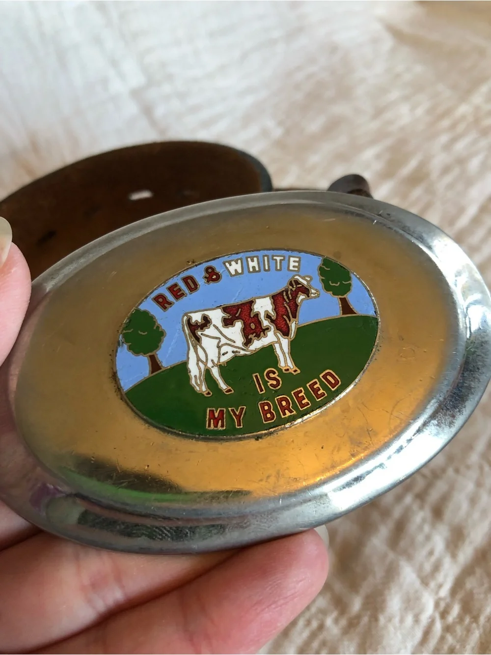 Western Brown Leather Belt w/ Silver 'Red & White' Cow Buckle | 32